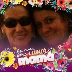 Meet your Posher, Paulina